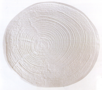Тарелка с имитацией колец деревьев V0128-0124MAT Pordamsa (Испания)